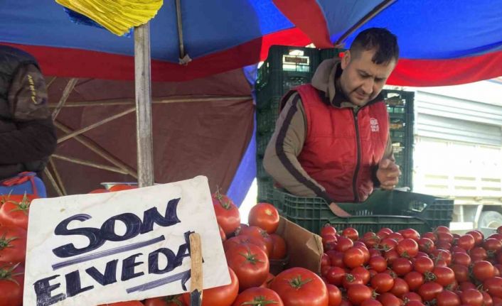 Ucuz ve lezzetli bahçe domateslerine esnaf ’Son elveda’ dedi