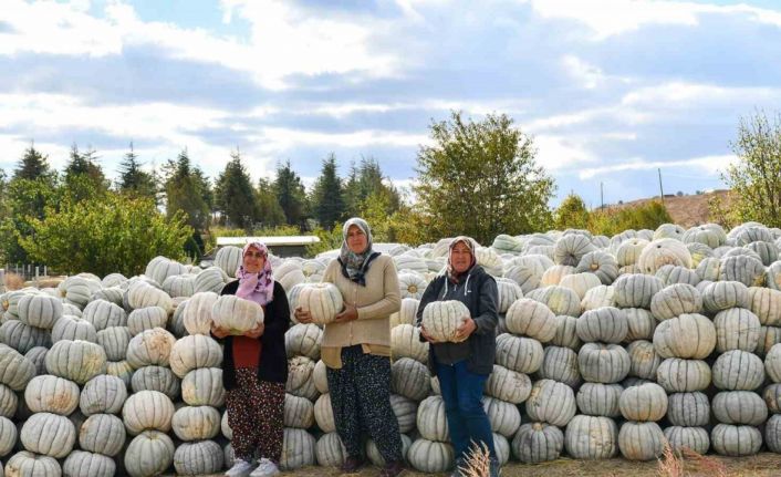 Üretici kadınlar hem mutlu hem gururlu