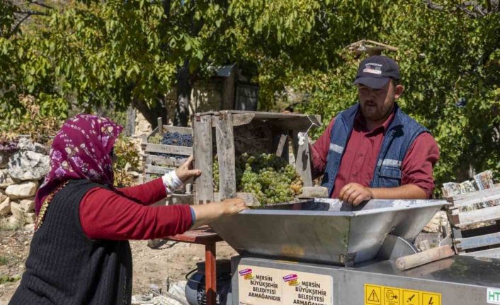 Üzüm sıkma makinesi çalışıyor, üretici keyfine bakıyor