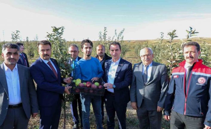 Vali Karakaya, Ahlat’ta elma bahçesini gezdi