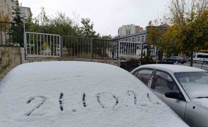 Van’da her yer beyaza büründü