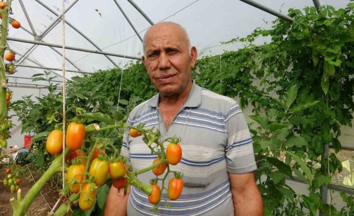 Yavuzkemal Beldesinden örnek tarım projesi