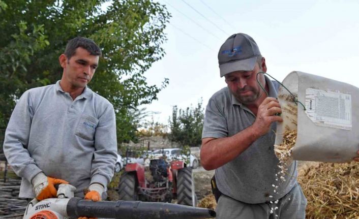 Yayladaki şenlikler Yarbaşçandır Yayla Şenliği ile devam ediyor