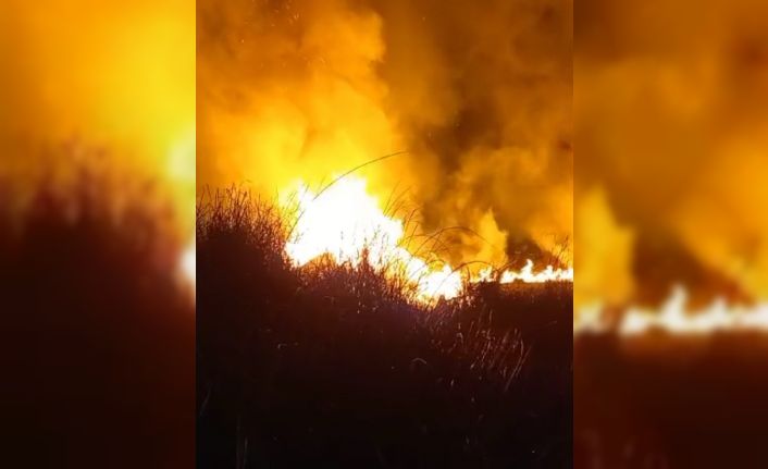 Yüksekova’da kuş cenneti alev alev yandı