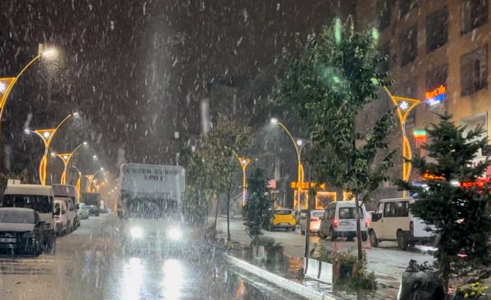 Yüksekova’ya kış erken geldi: Lapa lapa kar yağışı başladı