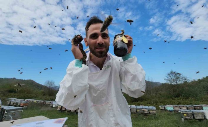 Zonguldak kestane balının kalitesi dünyaya ulaştı