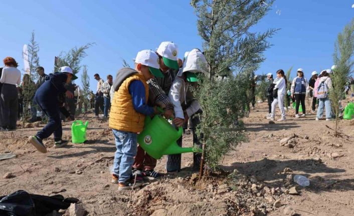 15 Ağustos’taki büyük yangının ardından İzmir’de ilk fidanlar toprakla buluştu