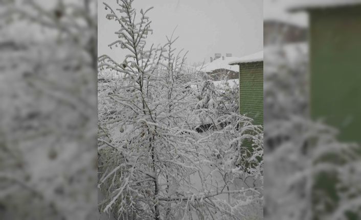 Adana’nın yüksek kesimlerinde kar yağışı başladı