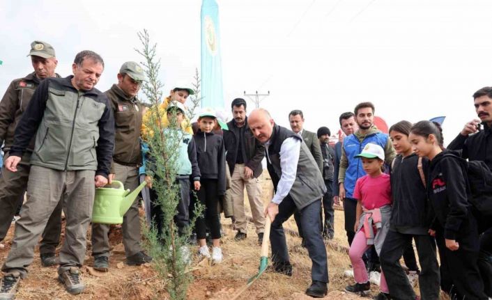 Adıyaman’da 11 bin fidan toprakla buluştu