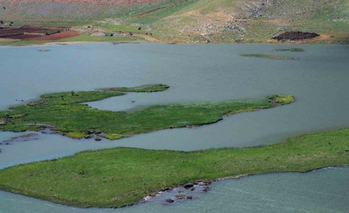 Adıyaman’da yüzen adaların kurtarılması için çalışma başlatıldı