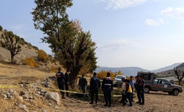 Ağaç budarken düşen yaşlı adam hayatını kaybetti