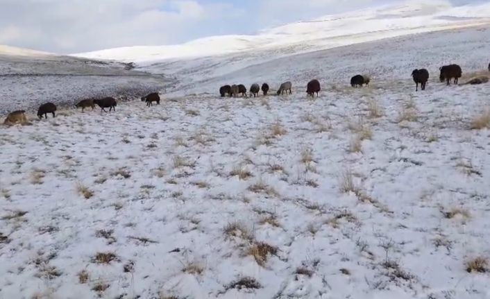 Ağrı’da kış kapıya dayandı