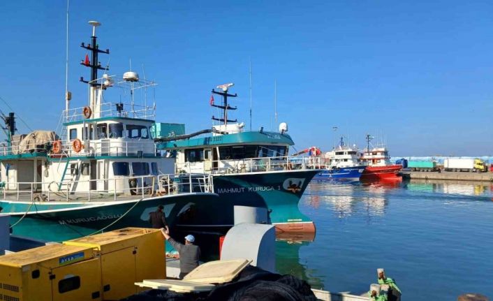 Akçakoca’ya gelen gırgır tekneleri ekonomiye can suyu oluyor