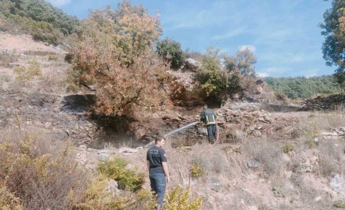 Alanya’da merada çıkan yangın kontrol altına alındı