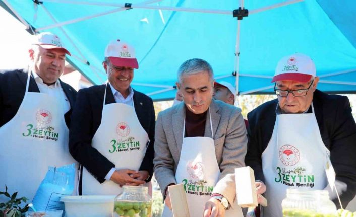 Aliağa’da "3. Zeytin Hasat Şenliği" düzenlendi