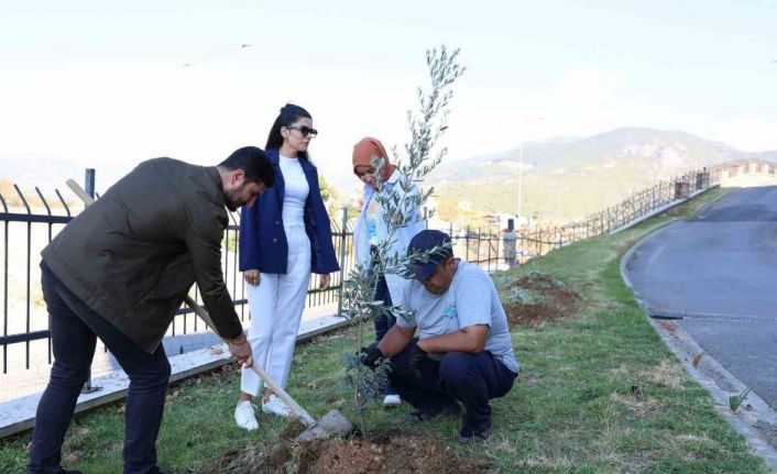 ALKÜ’de zeytin ağacı dikimi yapıldı