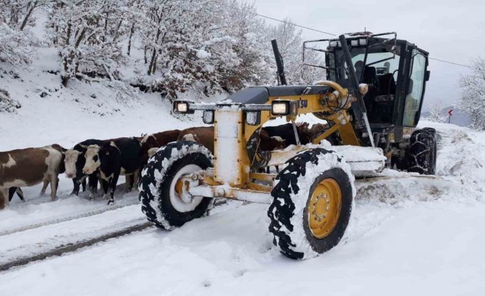 Amasya’da 107 köy yolu kar yağışından ulaşıma kapandı