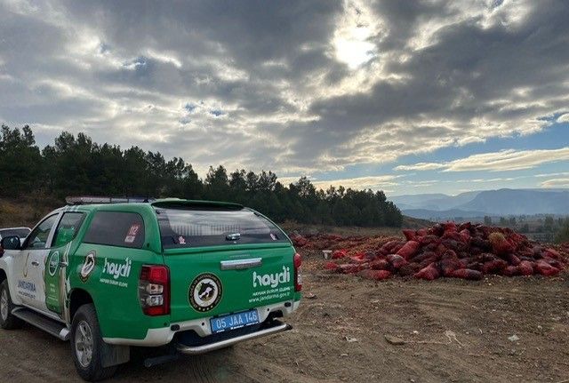 Amasya’da çevreye soğan dökenlere jandarmadan işlem