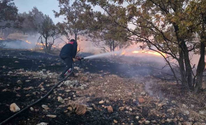 Anız yangını ormanlık alana sıçradı