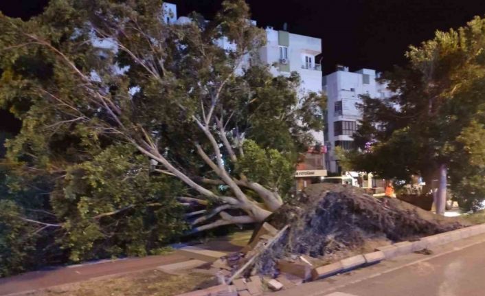 Antalya’da fırtına mesaisi