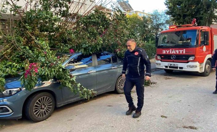 Antalya’da fırtınaya dayanamayan ağaç park halindeki aracın üzerine devrildi