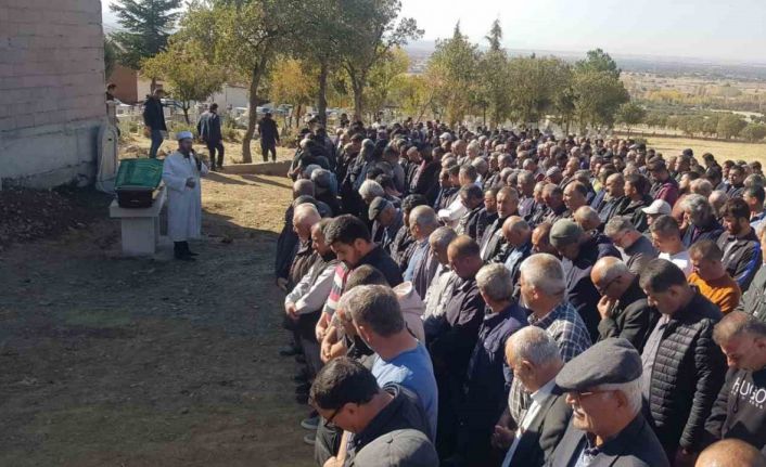 Arı sokan şahıs hayatını kaybetti