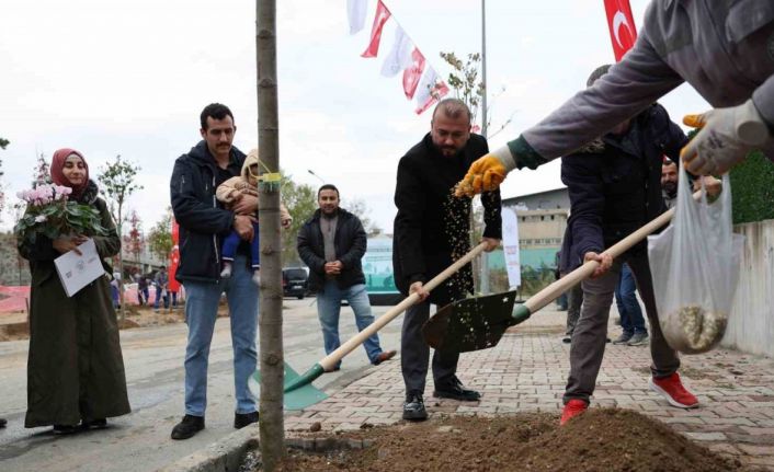 Arnavutköy’de doğan her çocuk için bir ağaç yetişecek