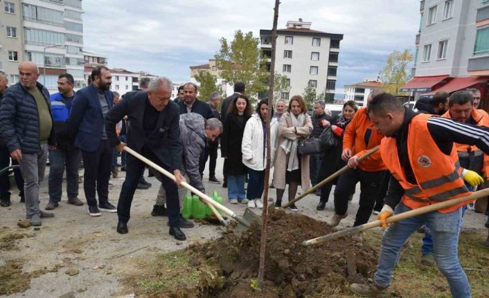 Atakum yeşile bürünüyor