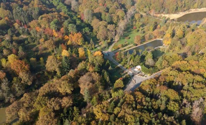 Atatürk Arboretumu’ndaki kartpostallık sonbahar manzarası havadan görüntülendi