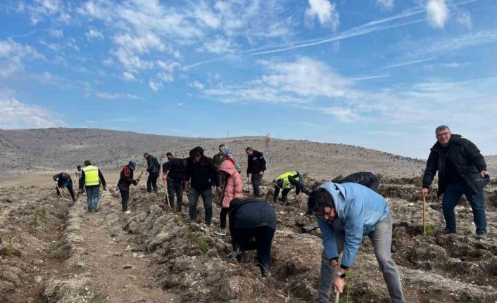 Ata’yı fidan dikerek andılar