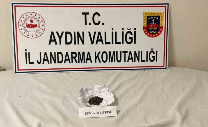 Aydın jandarmasından uyuşturucu operasyonu