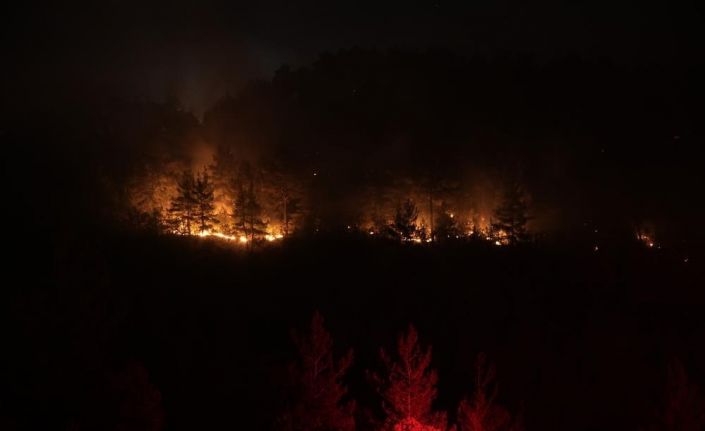 Balıkesir ile Bursa sınırındaki orman yangını kontrol altında