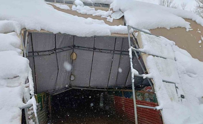 Bayburt’ta kardan ahırın damı çöktü