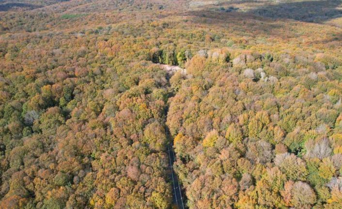 Belgrad Ormanı sonbahar renklerine büründü