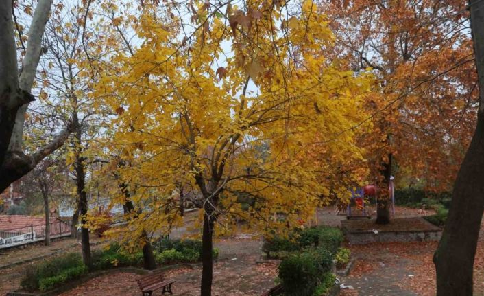 Beyazın ve sonbaharın güzellikleri bir arada