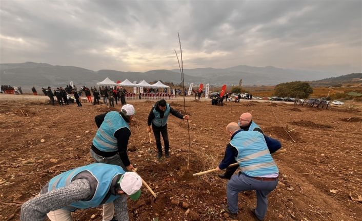 Bilecik’te mahkumlar fidan dikimine katıldı