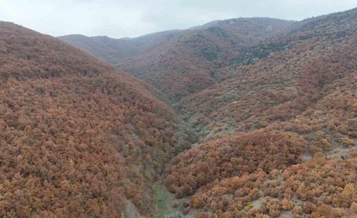 Bilecik’te sonbahar manzaralarını görenler hayran kalıyor