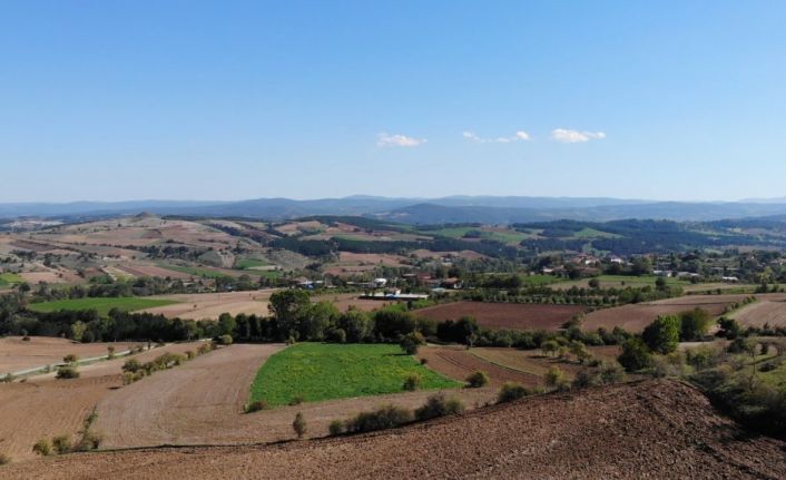 Bilinçli tarım meyvesini verdi: Çeltik hasadında rekor verim