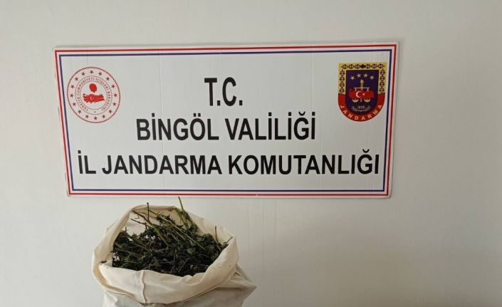 Bingöl’de 7 kilo esrar ele geçirildi