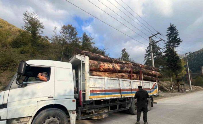 Bolu’da kaçak odun dolu kamyonlar yakalandı