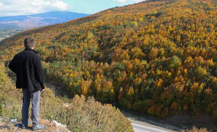 Bolu’nun yükseklerinde renk cümbüşü