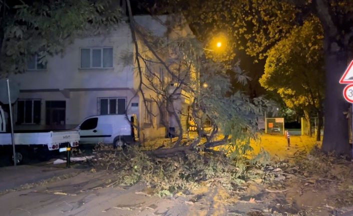 Bursa Büyükşehir Belediyesi lodosa karşı uyardı