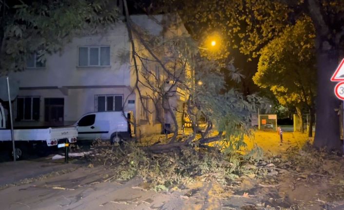 Bursa’da şiddetli rüzgar ağacı devirdi, yol kapandı