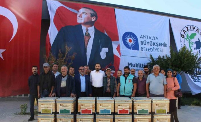 Büyükşehir’den Gazipaşalı arıcılara kovan desteği