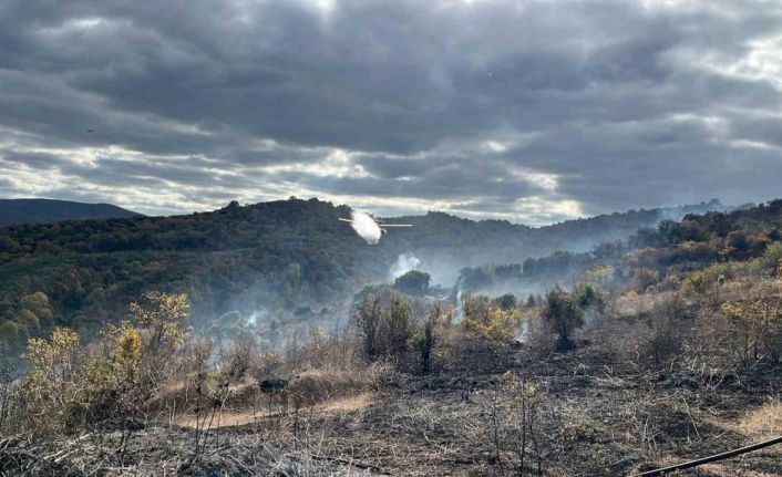 Çanakkale’deki yangında 2 hektarlık alan zarar gördü