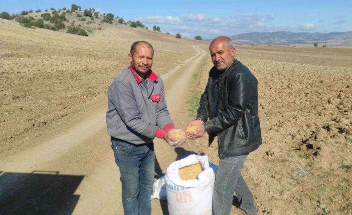 Çiftçi küresel ısınmanın etkileri yüzünden buğdayını geç ekiyor