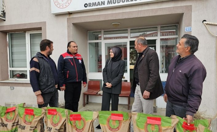 Çiftçilere hibe destekli buğday tohumu dağıtıldı