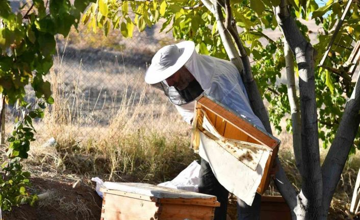 Dağıtılan arı kovanlarından bal hasadı yapıldı