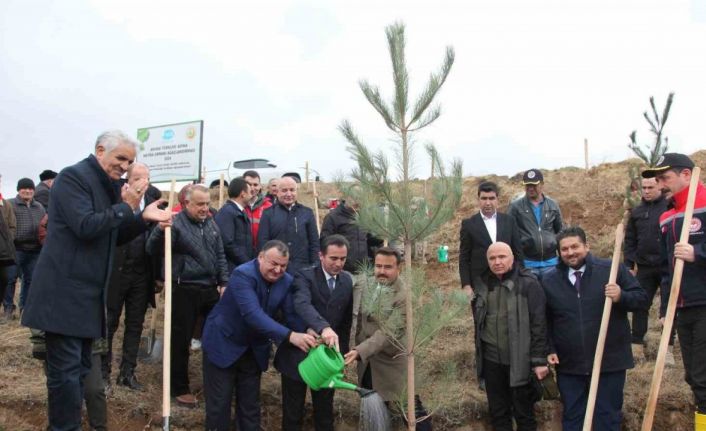 DATÜB Ahlat’ta ‘Hatıra Ormanı’ oluşturdu