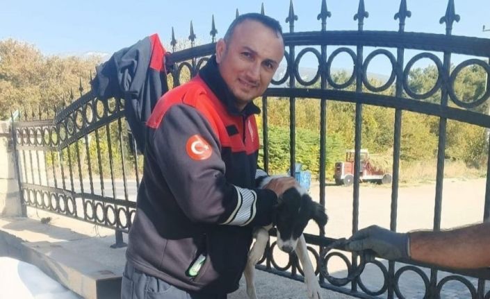 Demir parmaklıklara kafası sıkışan köpeği itfaiye kurtardı